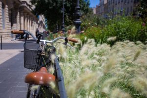 Bordeaux Vineyards and Chateaux - Self Guided Bike Tour - France - Van Gogh Tours