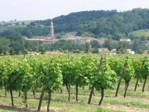 Bordeaux Vineyards and Chateaux - Self Guided Bike Tour - France - Van Gogh Tours