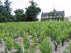 Bordeaux Vineyards and Chateaux - Self Guided Bike Tour - France - Van Gogh Tours