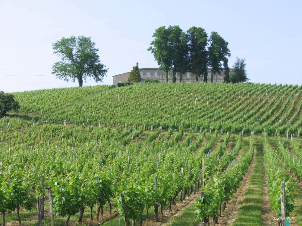 Bordeaux Vineyards and Chateaux