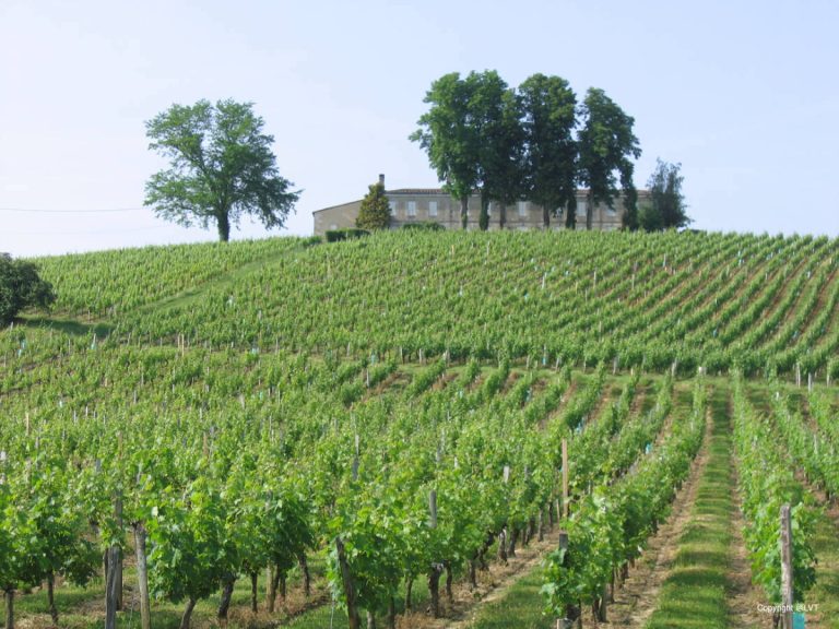 Bordeaux Vineyards and Chateaux - Self Guided Bike Tour - France - Van Gogh Tours