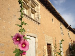 Bordeaux Vineyards and Chateaux - Self Guided Bike Tour - France - Van Gogh Tours