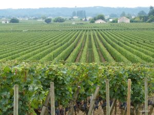 Bordeaux Vineyards and Chateaux - Self Guided Bike Tour - France - Van Gogh Tours