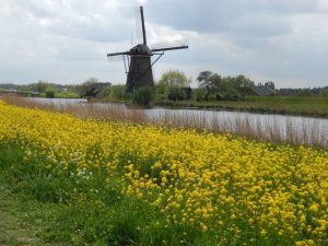 Van Gogh Tours - Bike and Barge - Bruges to Amsterdam