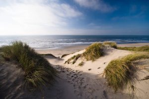Van Gogh Tours - Bike and Barge - Bruges to Amsterdam