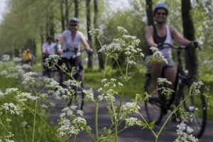 Amsterdam to Bruges Premium - Van Gogh Tours - Bike and Barge