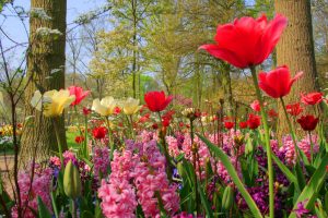 Van Gogh Tours - Bike and Barge - Southern Route