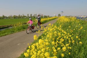 Van Gogh Tours - Bike and Barge - Southern Route