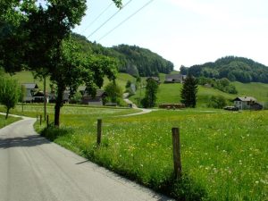 Lake Walking Salzkammergut - Self-Guided walking tour Austria - Van Gogh Tours