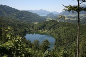 Lake Walking Salzkammergut - Self-Guided walking tour Austria - Van Gogh Tours