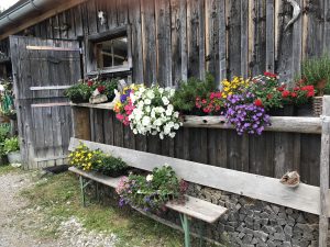 Bavarian Alpine Walk - Self Guided Walking Tour - Austria - Van Gogh Tours