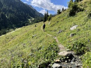 Bavarian Alpine Walk - Self Guided Walking Tour - Austria - Van Gogh Tours