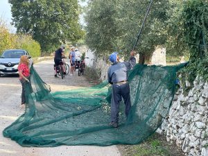 Heart of Puglia - Self-Guided Bike tour - Italy - Van Gogh Tours