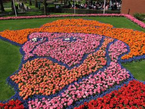 Sail, Bike and Tulips - Bike and Barge - Van Gogh Tours