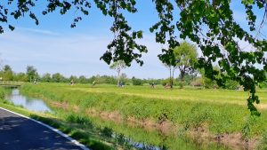 Venice to Mantua - Bike and Barge - Italy - Van Gogh Tours