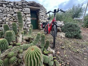 Heart of Puglia - Self-Guided Bike tour - Italy - Van Gogh Tours