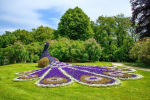 Bike and Barge trip - Van Gogh Tours - Netherlands