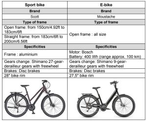 Self-Guided Bike tour - available bikes - Van Gogh Tours - France - Loire Valley