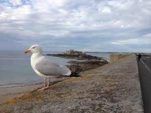 The heart of Brittany - Self Guided Bike Tour - France Bretagne - Van Gogh Tours
