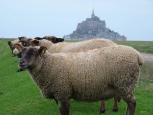 The heart of Brittany - Self Guided Bike Tour - France Bretagne - Van Gogh Tours