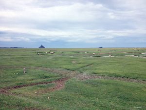 The heart of Brittany - Self Guided Bike Tour - France Bretagne - Van Gogh Tours