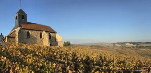 Le tour de Champagne - Self Guided Bike Tour France - Van Gogh Tours