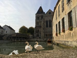 Le tour de Champagne - Self Guided Bike Tour France - Van Gogh Tours