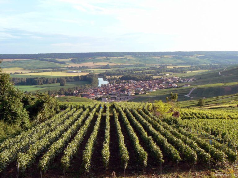 Le tour de Champagne - Self Guided Bike Tour France - Van Gogh Tours