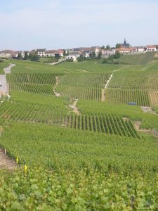 Le tour de Champagne - Self Guided Bike Tour France - Van Gogh Tours