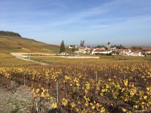Le tour de Champagne - Self Guided Bike Tour France - Van Gogh Tours