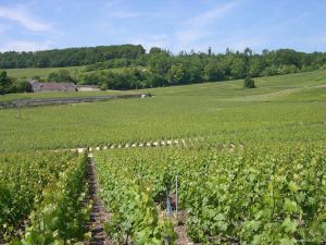 Le tour de Champagne - Self Guided Bike Tour France - Van Gogh Tours