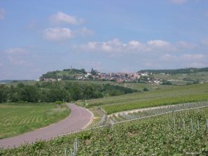 Le tour de Champagne - Self Guided Bike Tour France - Van Gogh Tours