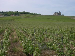 Le tour de Champagne - Self Guided Bike Tour France - Van Gogh Tours