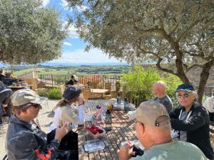 Provence Camargue - Bike and Barge - France - Van Gogh Tours