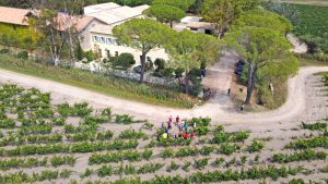 Provence Camargue - Bike and Barge - France - Van Gogh Tours