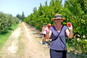 Provence Camargue - Bike and Barge - France - Van Gogh Tours