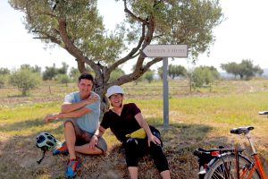 Provence Camargue - Bike and Barge - France - Van Gogh Tours
