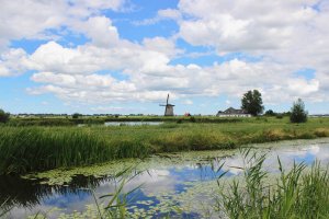 Van Gogh Tours - Friesland and Lake IJssel - Bike and Barge Tour Netherlands