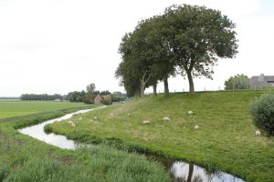 Van Gogh Tours - Friesland and Lake IJssel - Bike and Barge Tour Netherlands