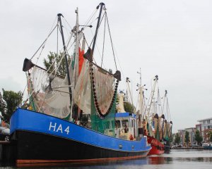 Van Gogh Tours - Friesland and Lake IJssel - Bike and Barge Tour Netherlands