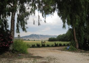 Van Gogh Tours - The Best of Umbria and Tuscany - Italy