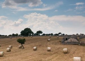 Van Gogh Tours - Puglia and Basilicata Biking Tour