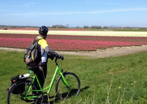 Van Gogh Tours - Deluxe Springtime Tulip Tour - Bike and Barge