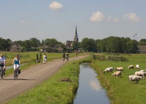 Van Gogh Tours - Deluxe Springtime Tulip Tour - Bike and Barge