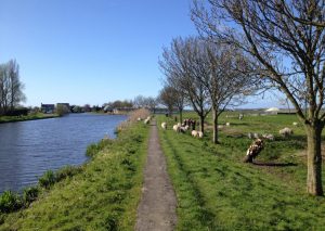 Van Gogh Tours - Country of Tulips Tour - Netherlands