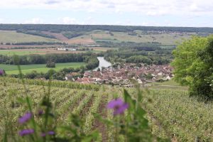 Le Tour the Champagne - Self Guided Bike Tour - Van Gogh Tours - Espernay