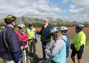 Van Gogh Tours - tulip tours - guided bike tours - Netherlands Holland - Tulip Expert - Herman van Amsterdam