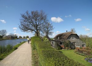 Van Gogh Tours - Guided bike tours - Netherlands - tulip tour