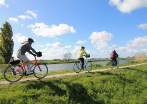 Van Gogh Tours - bike path - dike - Netherlands - tulip tour