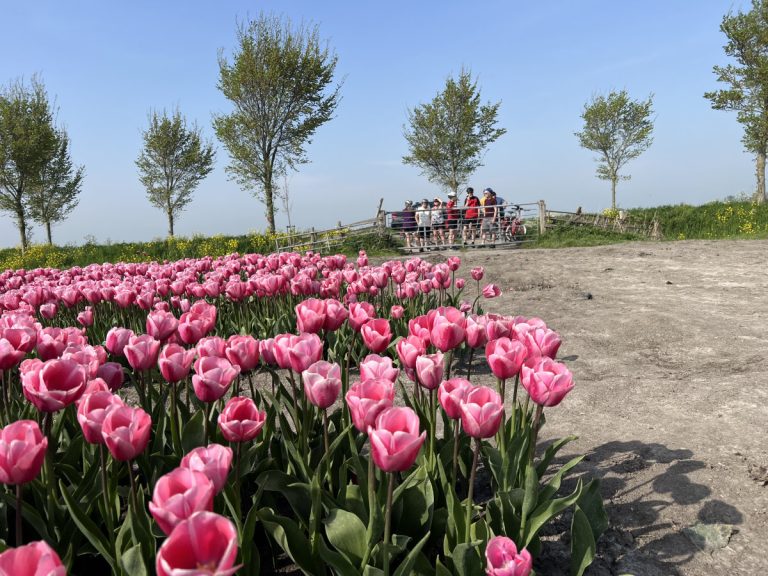 Super Tulip Tour - Bike and Barge - Van Gogh Tours - The Netherlands